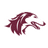 Southern Illinois Salukis