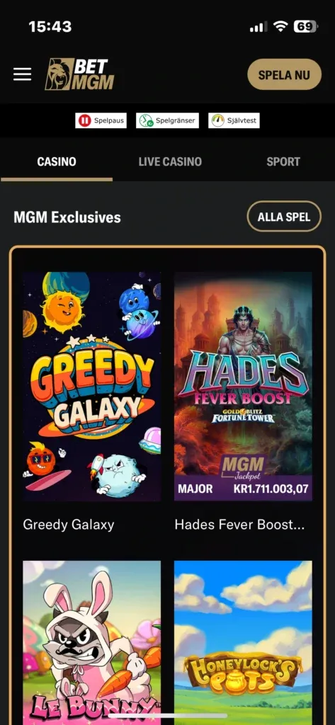 BetMGM App