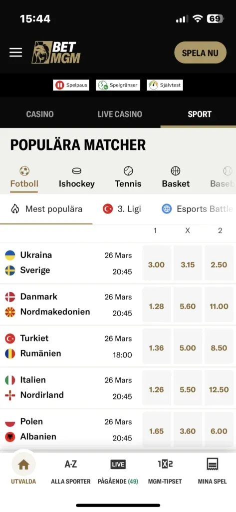 BETMGM Sport app