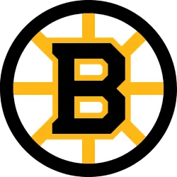 boston bruins