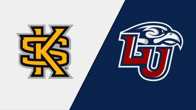 Kennesaw State Owls vs. Liberty Flames