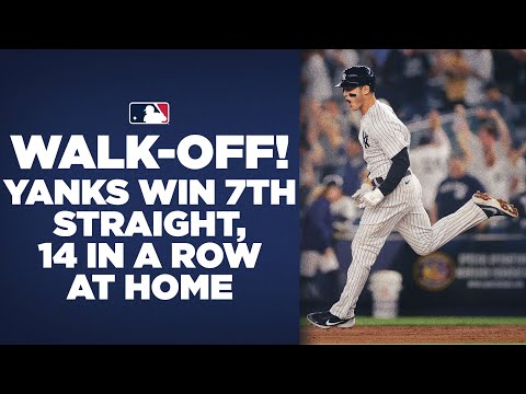 Tampa Bay Rays vs. New York Yankees Highlights