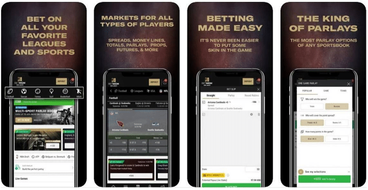 best sports betting sites for beginners