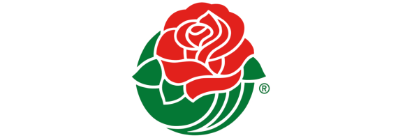 Rose Bowl Game Odds, Predictions & Bowl History