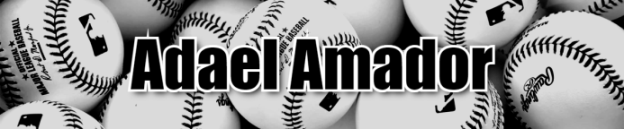 Adael Amador Prop Bet Projections, Odds & Stats – Jun 21, 2024