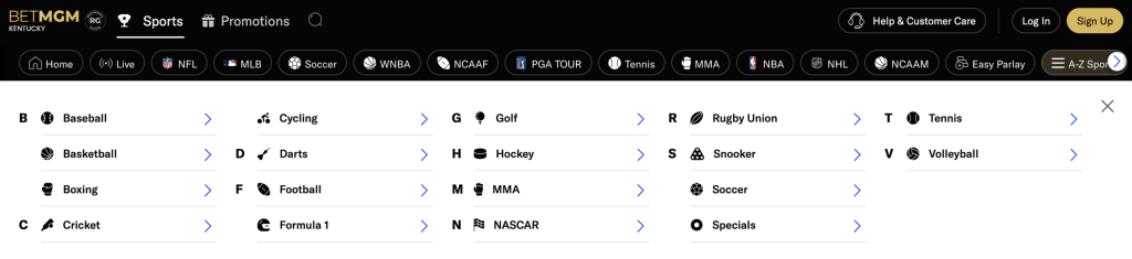 BetMGM Sports Betting Options