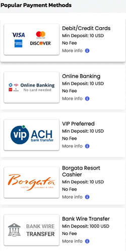 Popular deposit options at betmgm casino