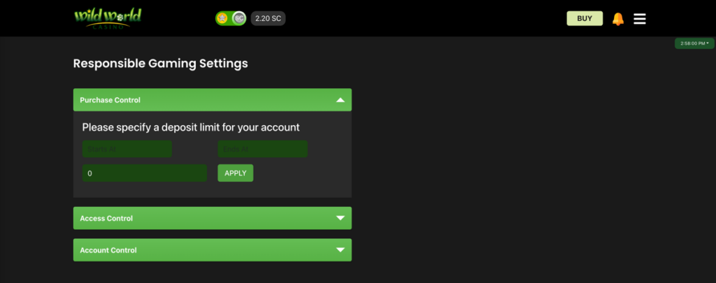 Wild World Casino Responsible Gaming Settings