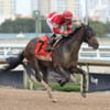 Horse racing