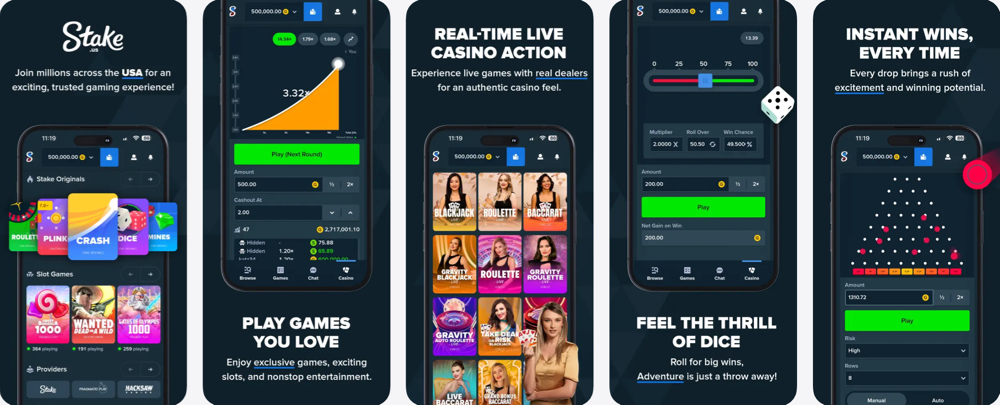 Interface de l application Stake