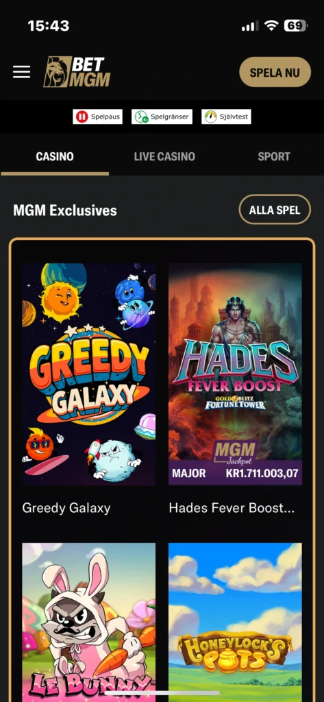 BetMGM App